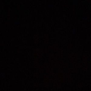 Meet your Posher, Whitney